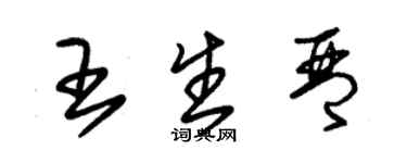 朱錫榮王生琴草書個性簽名怎么寫