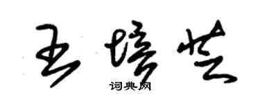 朱錫榮王培芝草書個性簽名怎么寫