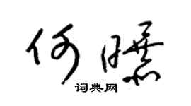 梁錦英何曝草書個性簽名怎么寫