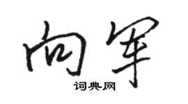 駱恆光向軍行書個性簽名怎么寫