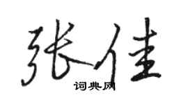 駱恆光張佳行書個性簽名怎么寫