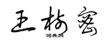 曾慶福王樹密草書個性簽名怎么寫