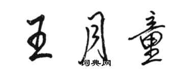 駱恆光王月童行書個性簽名怎么寫