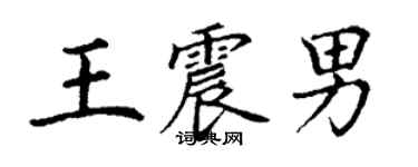 丁謙王震男楷書個性簽名怎么寫