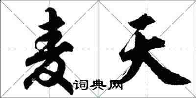 胡問遂麥天行書怎么寫