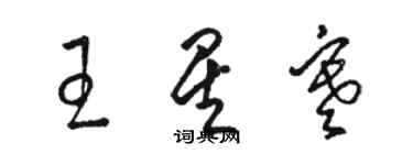 駱恆光王星寒草書個性簽名怎么寫