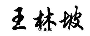 胡問遂王林坡行書個性簽名怎么寫