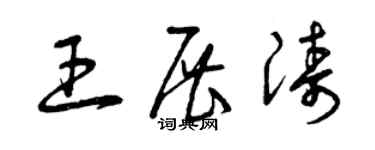 曾慶福王展濤草書個性簽名怎么寫