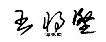 朱錫榮王將堅草書個性簽名怎么寫