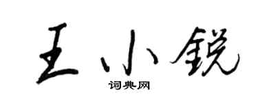 王正良王小銳行書個性簽名怎么寫