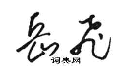 駱恆光岳飛草書個性簽名怎么寫