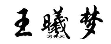 胡問遂王曦夢行書個性簽名怎么寫