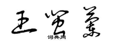 曾慶福王閩蘭草書個性簽名怎么寫