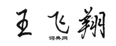 駱恆光王飛翔行書個性簽名怎么寫
