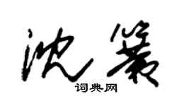 朱錫榮沈簧草書個性簽名怎么寫