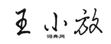 駱恆光王小放行書個性簽名怎么寫