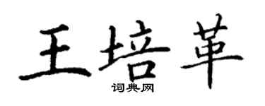 丁謙王培革楷書個性簽名怎么寫