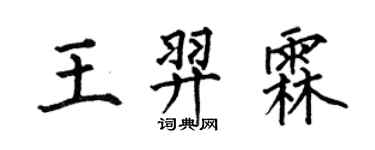 何伯昌王羿霖楷書個性簽名怎么寫