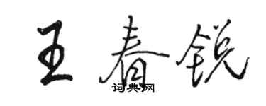 駱恆光王春銳行書個性簽名怎么寫