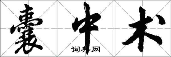 胡問遂囊中術行書怎么寫