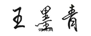 駱恆光王墨青行書個性簽名怎么寫