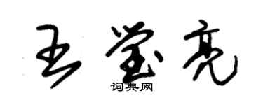 朱錫榮王瑩亮草書個性簽名怎么寫