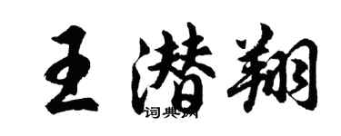 胡問遂王潛翔行書個性簽名怎么寫