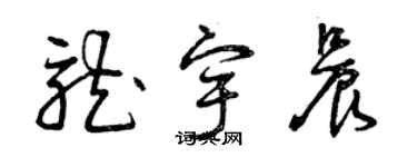 曾慶福龍宇晨草書個性簽名怎么寫