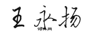 駱恆光王永揚行書個性簽名怎么寫