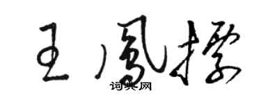 駱恆光王鳳標草書個性簽名怎么寫