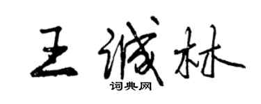 曾慶福王誠林行書個性簽名怎么寫