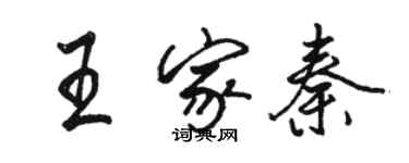 駱恆光王家秦行書個性簽名怎么寫