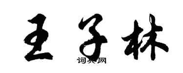 胡問遂王子林行書個性簽名怎么寫