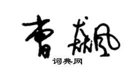 朱錫榮曹飈草書個性簽名怎么寫