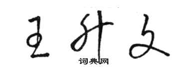 駱恆光王升文草書個性簽名怎么寫