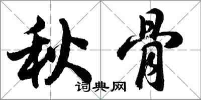 胡問遂秋骨行書怎么寫