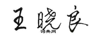 駱恆光王曉良行書個性簽名怎么寫