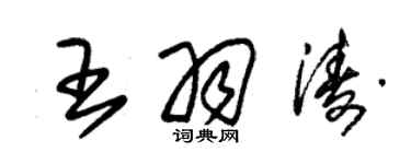 朱錫榮王羽濤草書個性簽名怎么寫