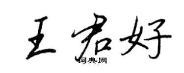 王正良王君好行書個性簽名怎么寫