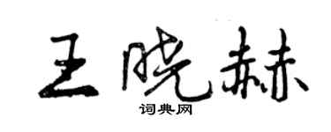 曾慶福王曉赫行書個性簽名怎么寫
