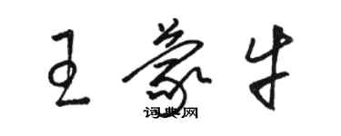 駱恆光王蒙牛草書個性簽名怎么寫