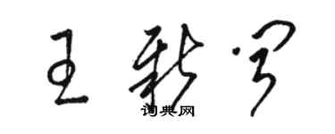 駱恆光王新聞草書個性簽名怎么寫