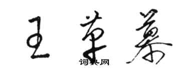 駱恆光王革慕草書個性簽名怎么寫