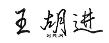 駱恆光王胡進行書個性簽名怎么寫
