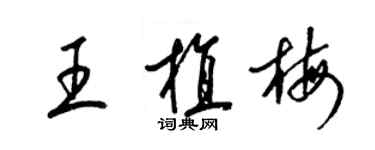 梁錦英王植梅草書個性簽名怎么寫