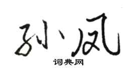 駱恆光孫鳳行書個性簽名怎么寫