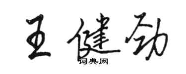 駱恆光王健勁行書個性簽名怎么寫