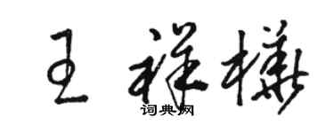 駱恆光王祥樺草書個性簽名怎么寫