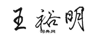 駱恆光王裕明行書個性簽名怎么寫