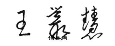 駱恆光王叢慧草書個性簽名怎么寫